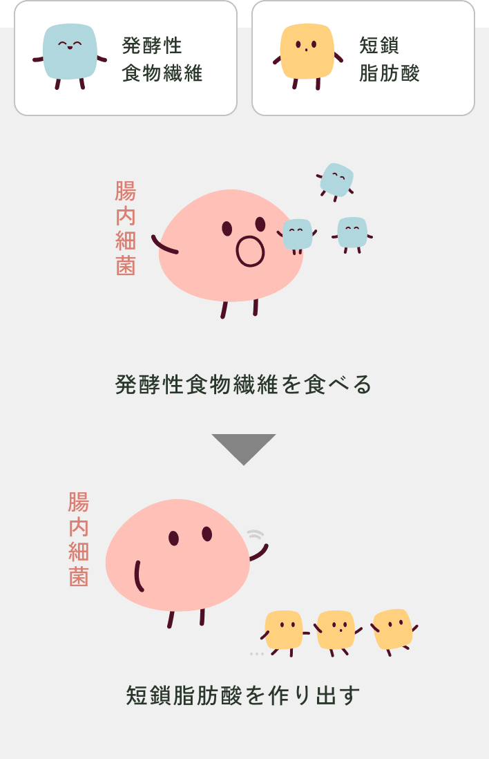 大注目の短鎖脂肪酸