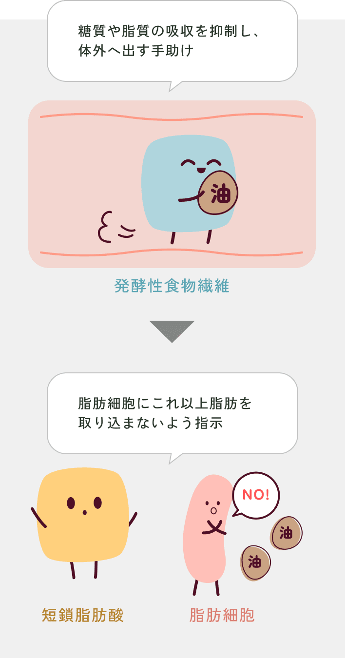 太りにくいからだに